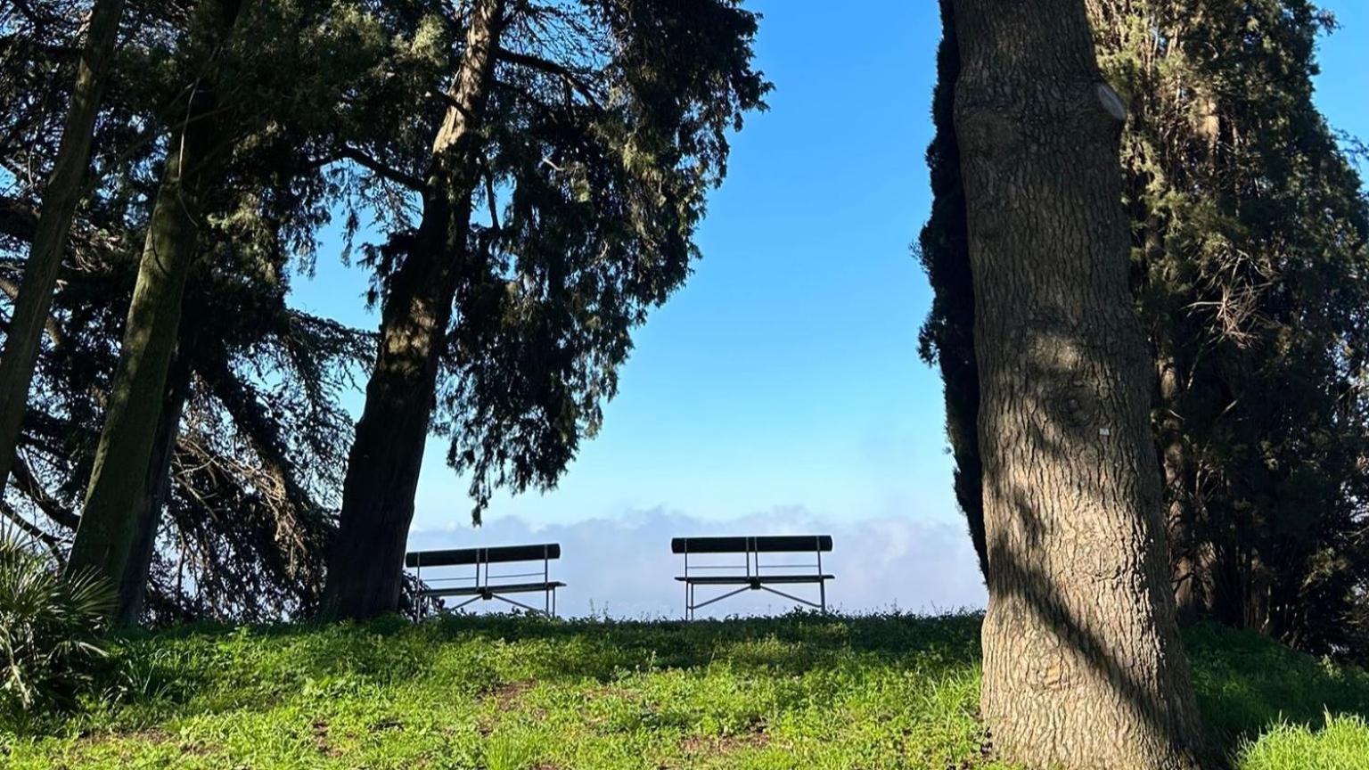 Villa Cavalletti Grottaferrata Bagian luar foto
