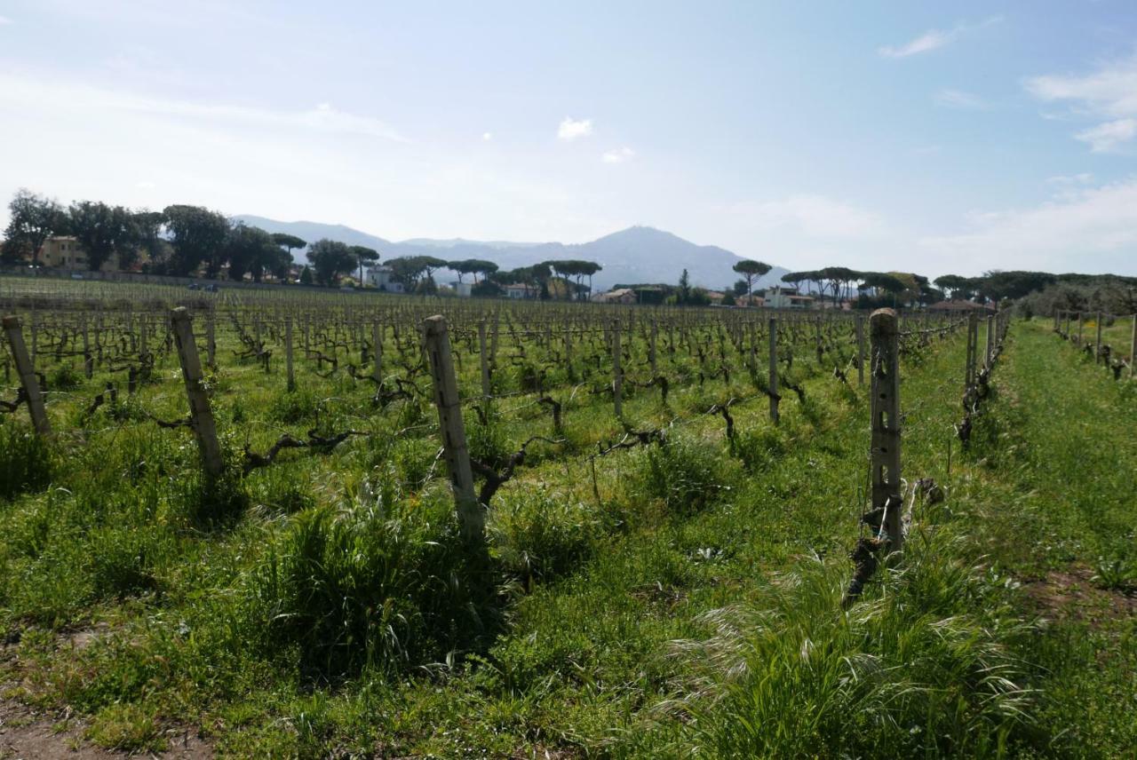 Villa Cavalletti Grottaferrata Bagian luar foto